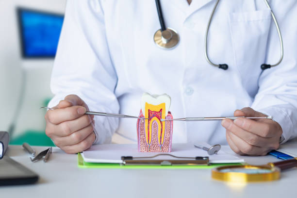 Best Emergency Broken Tooth Repair in Old River Winfree, TX